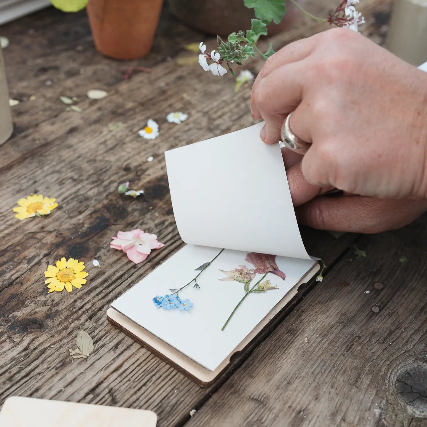 Pocket Flower Press | Forget Me Not