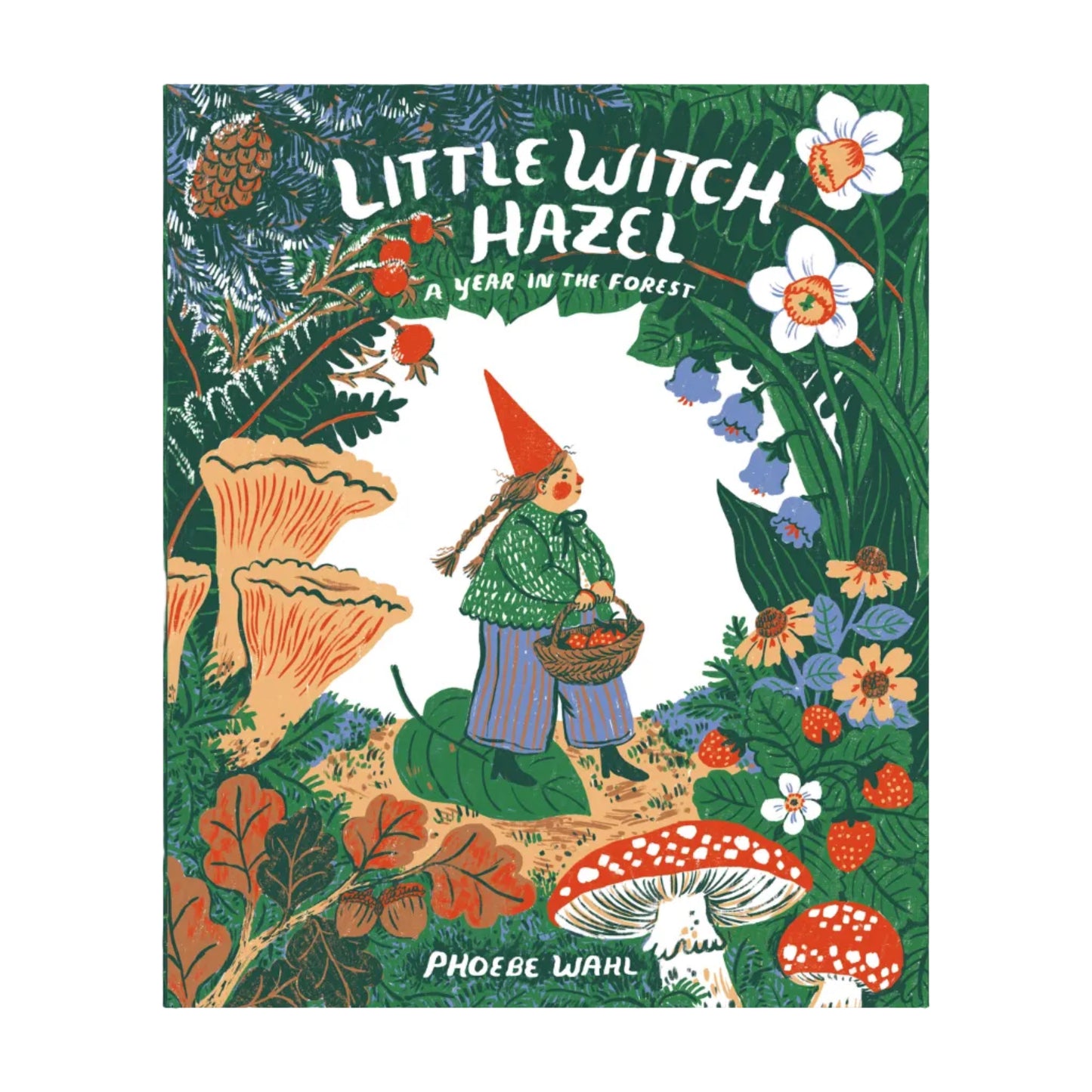 Little Witch Hazel