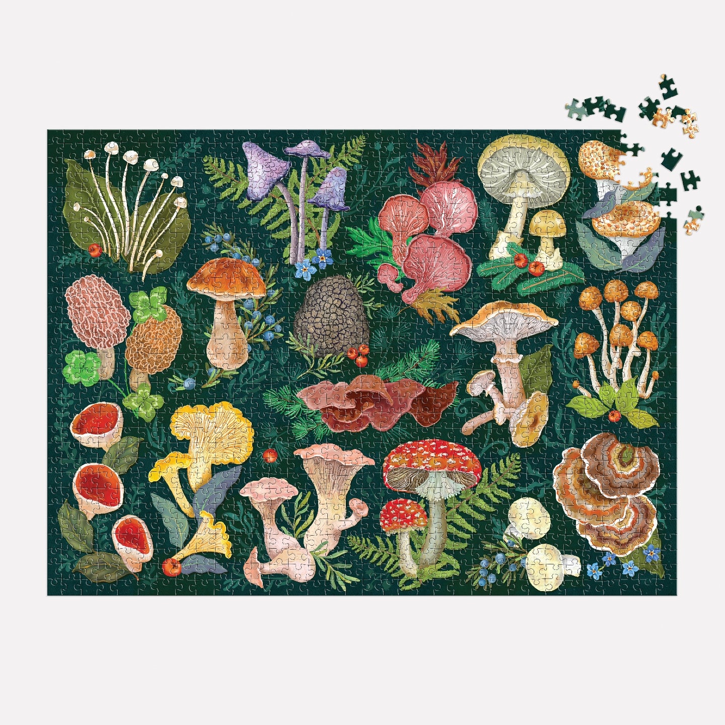 World of Mushrooms 1000 piece Puzzle
