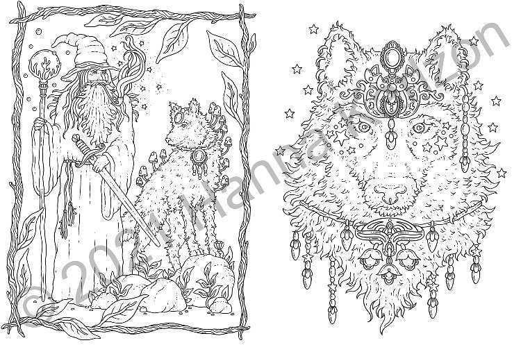 Tales From the Forest Kingdom Colouring Book