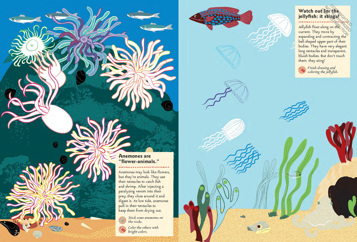 At The Seashore: My Nature Sticker Activity Book