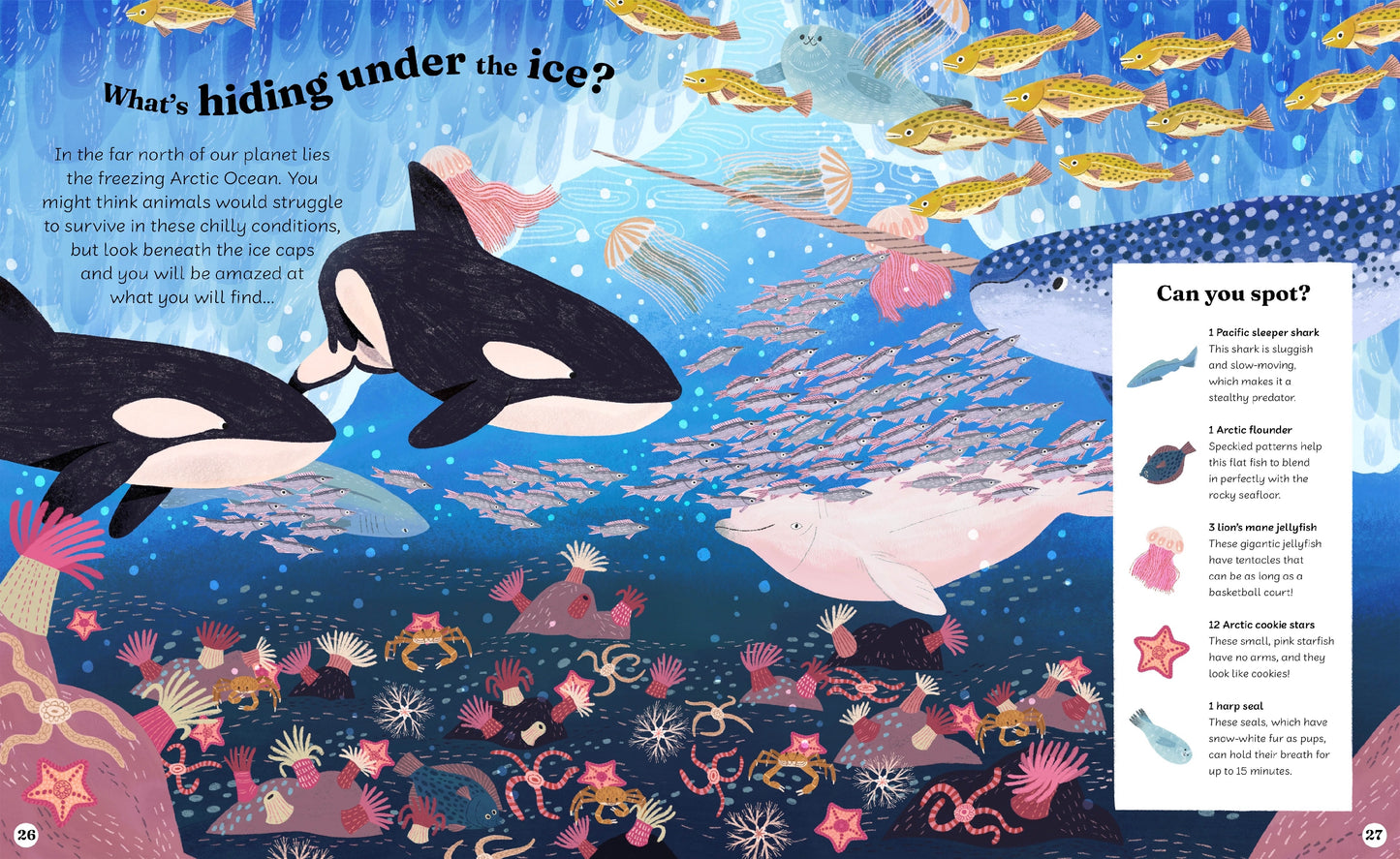 Ocean Explorer A Search-and-Find Book
