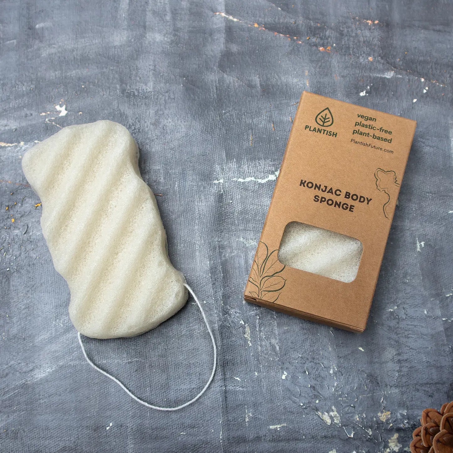 Konjac Body Sponge