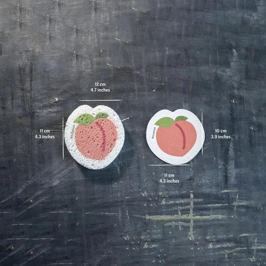 Pop Up Sponge | Peach