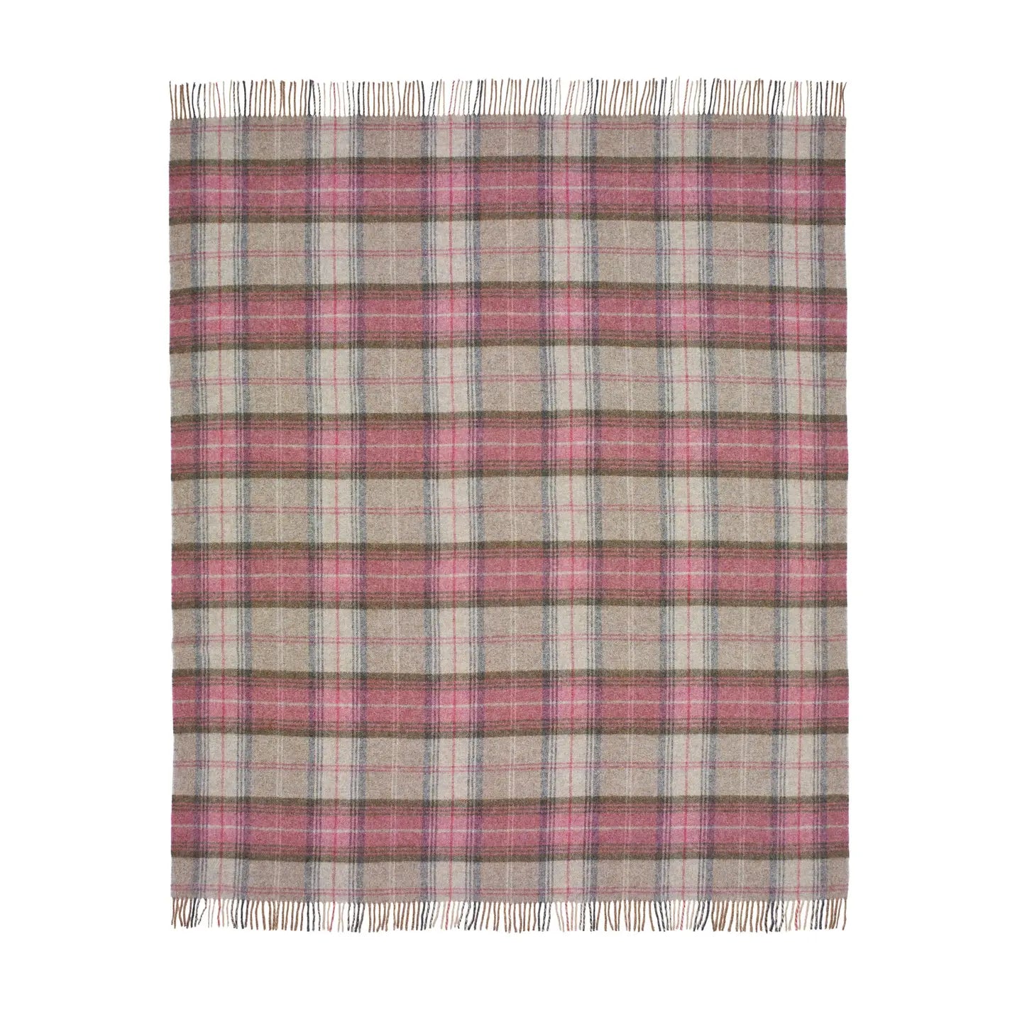 Bronte Moon | Stroud Heather