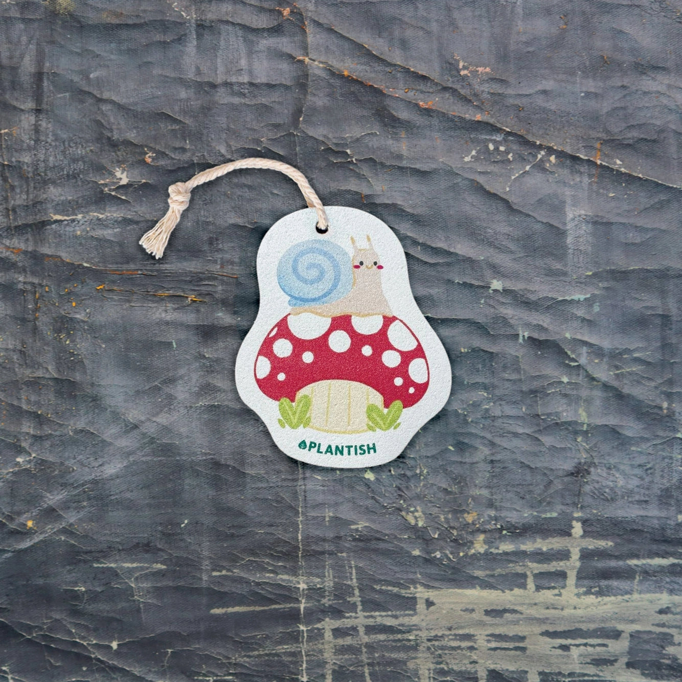 Pop Up Sponge | Mossy Snail