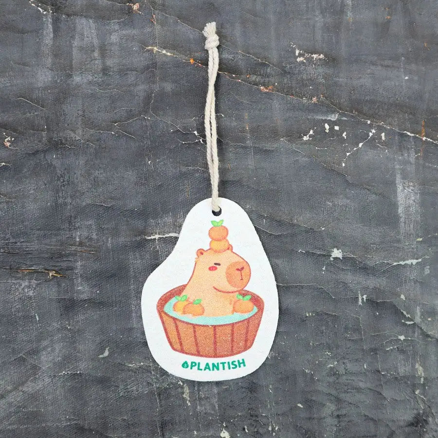 Pop Up Sponge | Capybara