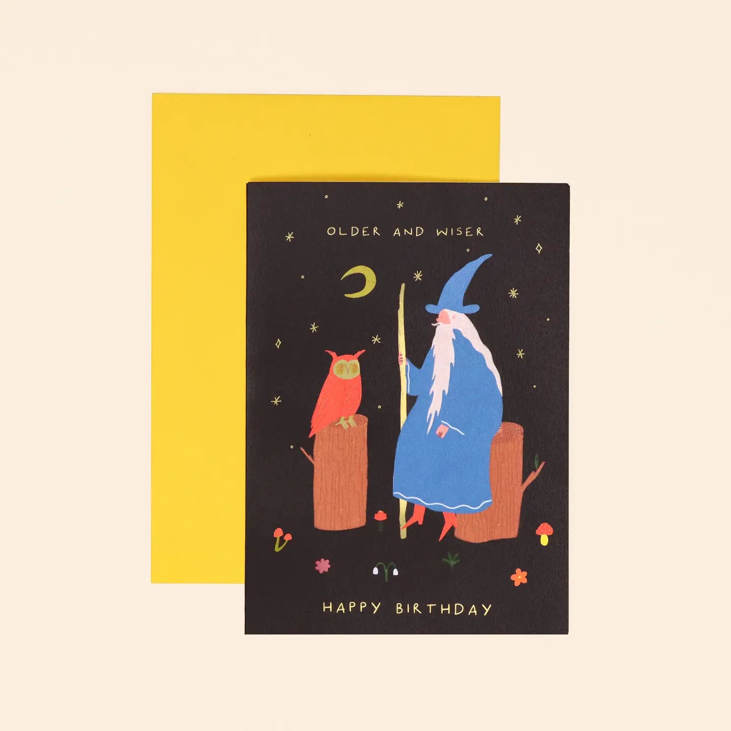 Older and Wiser | Birthday Card