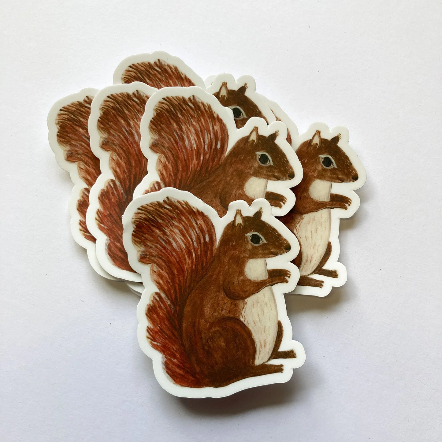 Handsome Squirrel Sticker