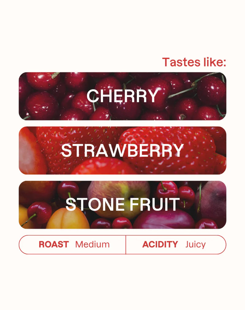 Monogram Coffee | Banko Supernatural Filter