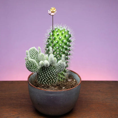 Glass Plant Stake Decoration | Snail - Warm Gift Shop