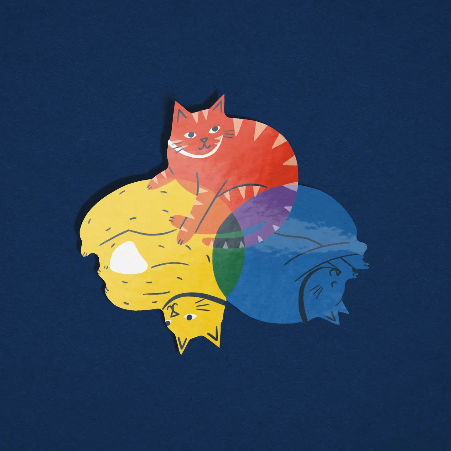 Colour Wheel Cats Sticker