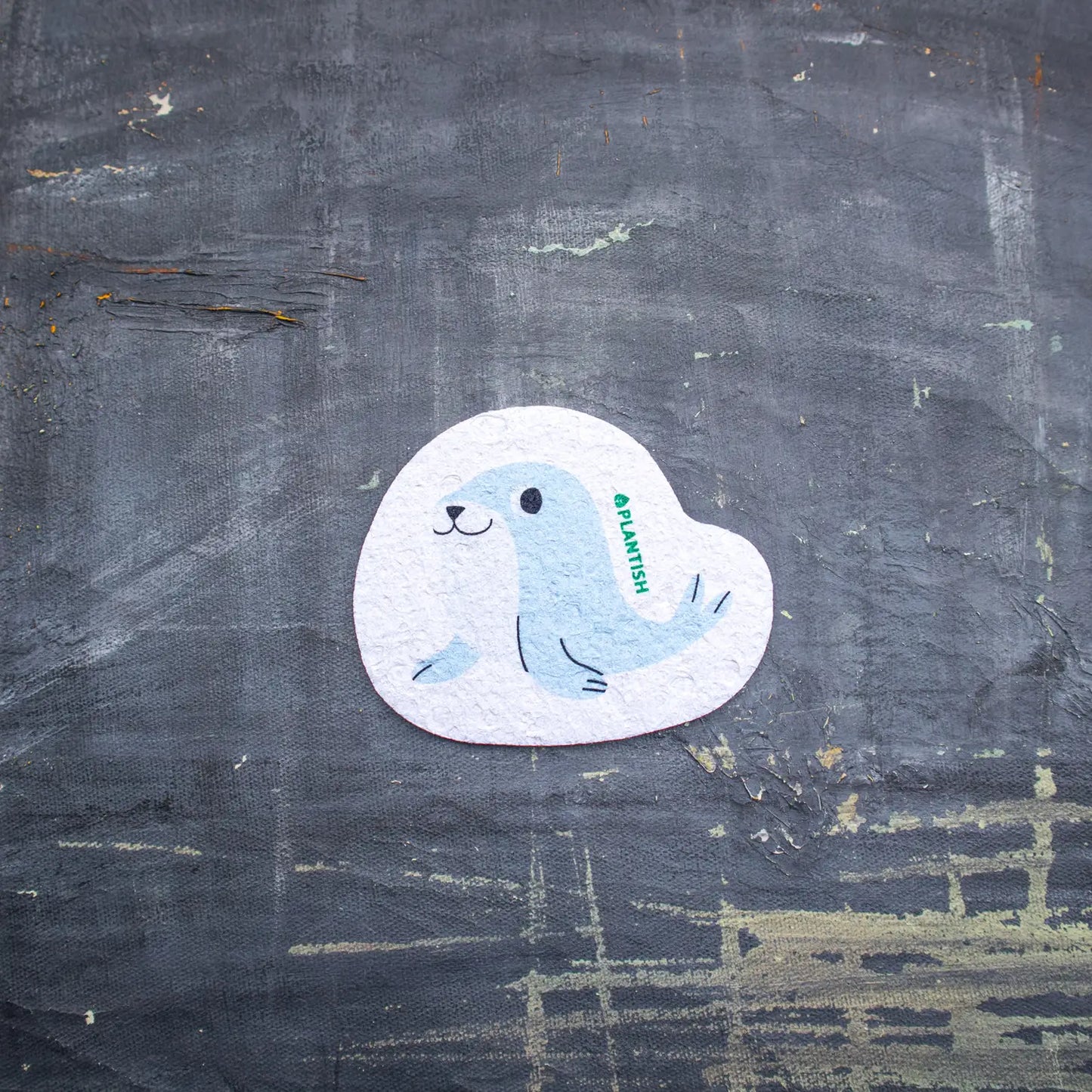 Pop Up Sponge | Seal