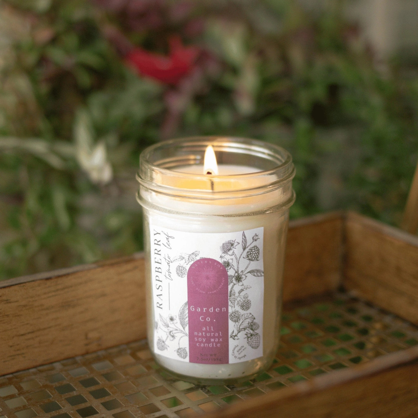 Marketplace Jar Candle | Raspberry Tomato Leaf