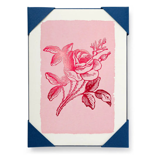 Pink Rose | Blank Card 5-pack