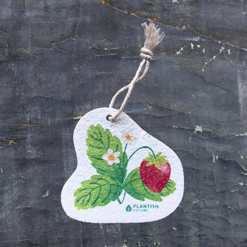 Pop Up Sponge | Strawberry Patch