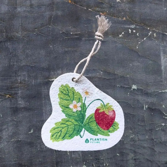 Pop Up Sponge | Strawberry Patch
