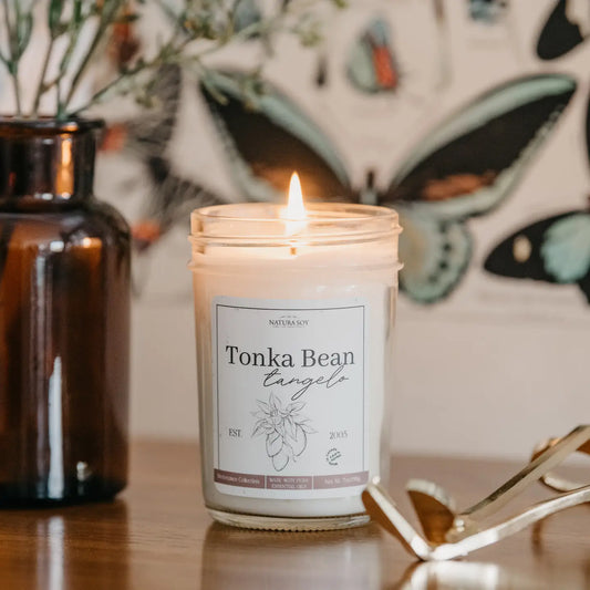 Marketplace Jar Candle | Tonka Bean Tangelo