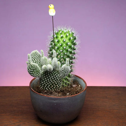 Glass Plant Stake Decoration | Chick in Egg