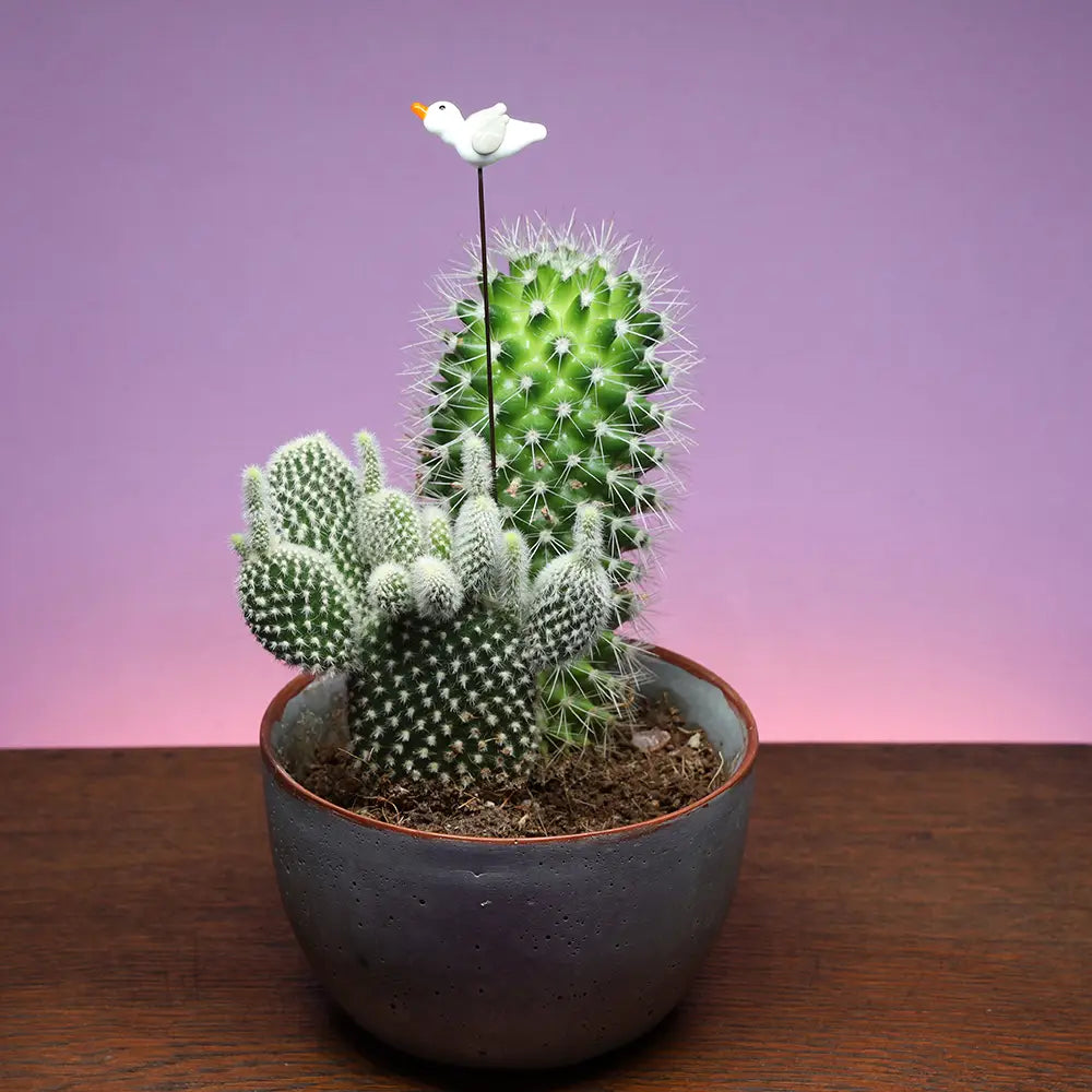 Glass Plant Stake Decoration | Seagull