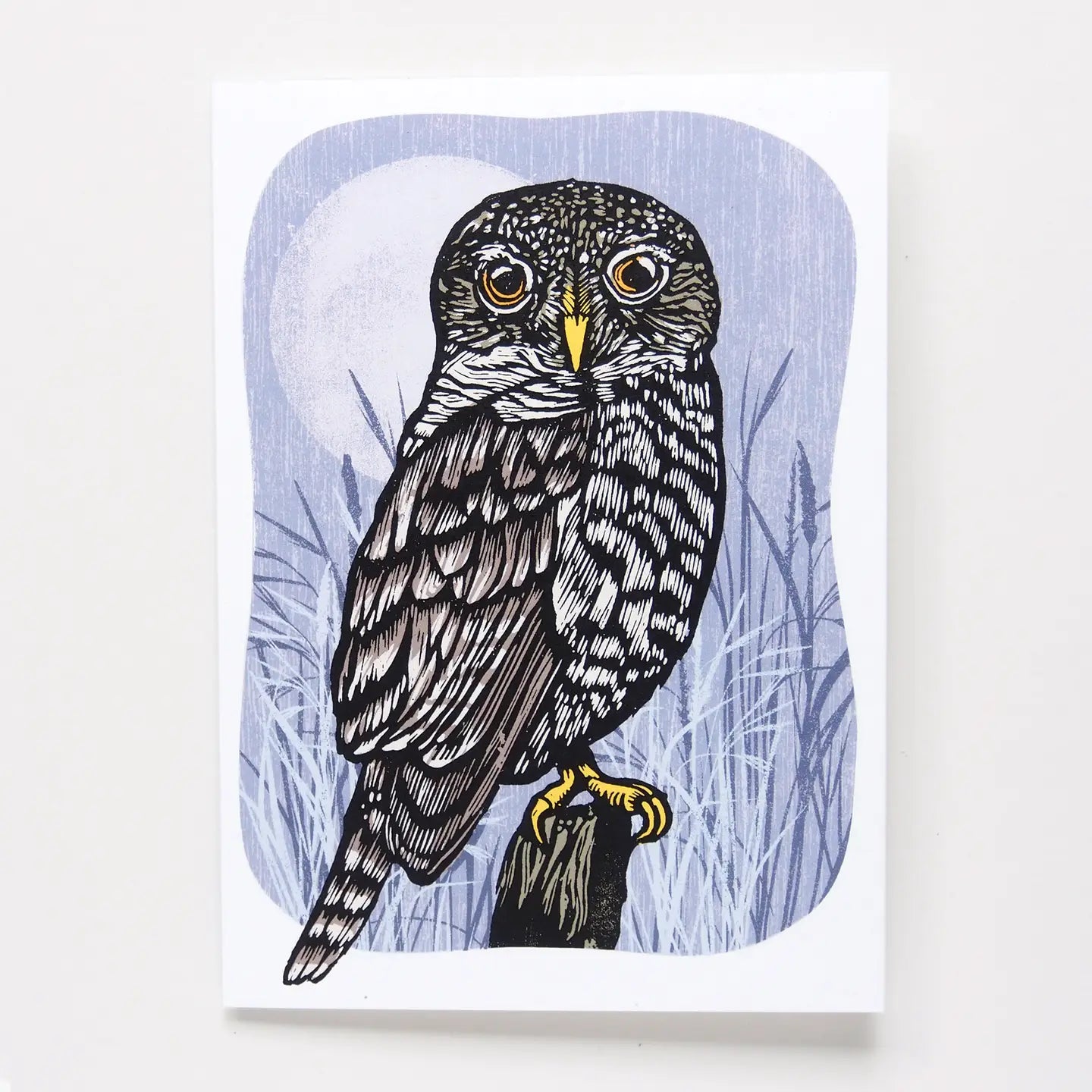 Night Owl | Blank Card