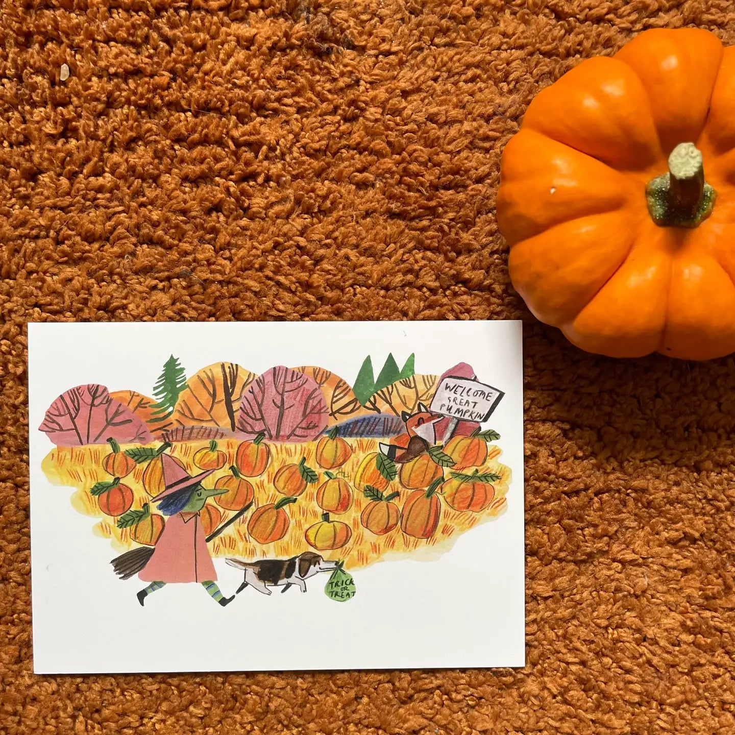 Pumpkin Patch Postcard