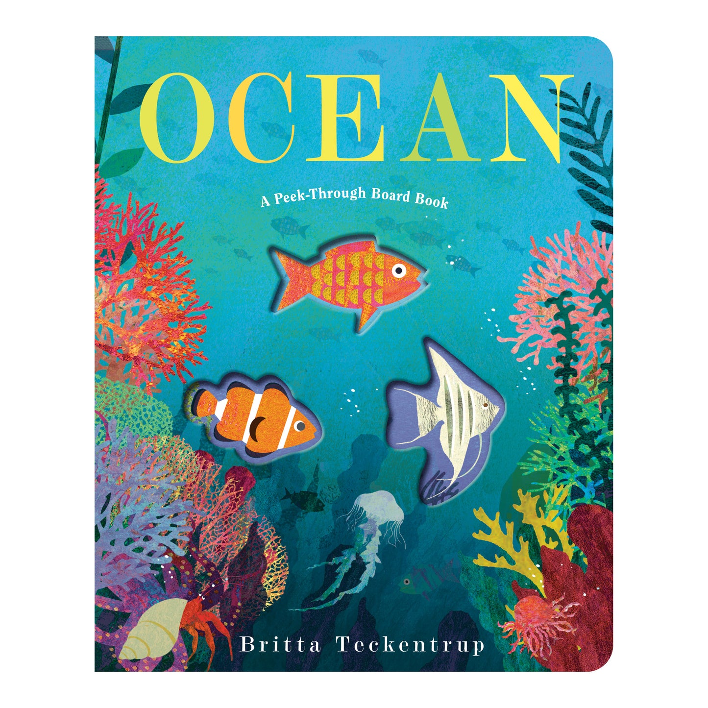 Ocean: A Peek-Through Board Book