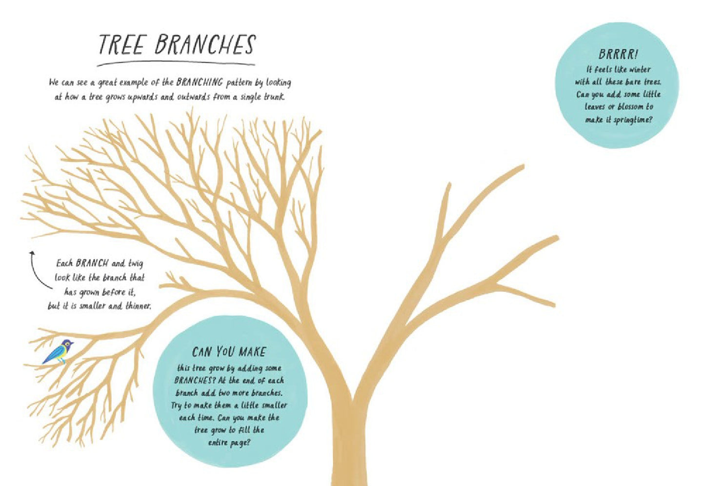 Drawn By Nature: Pattern
