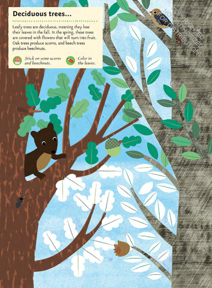 In The Forest: My Nature Sticker Activity Book