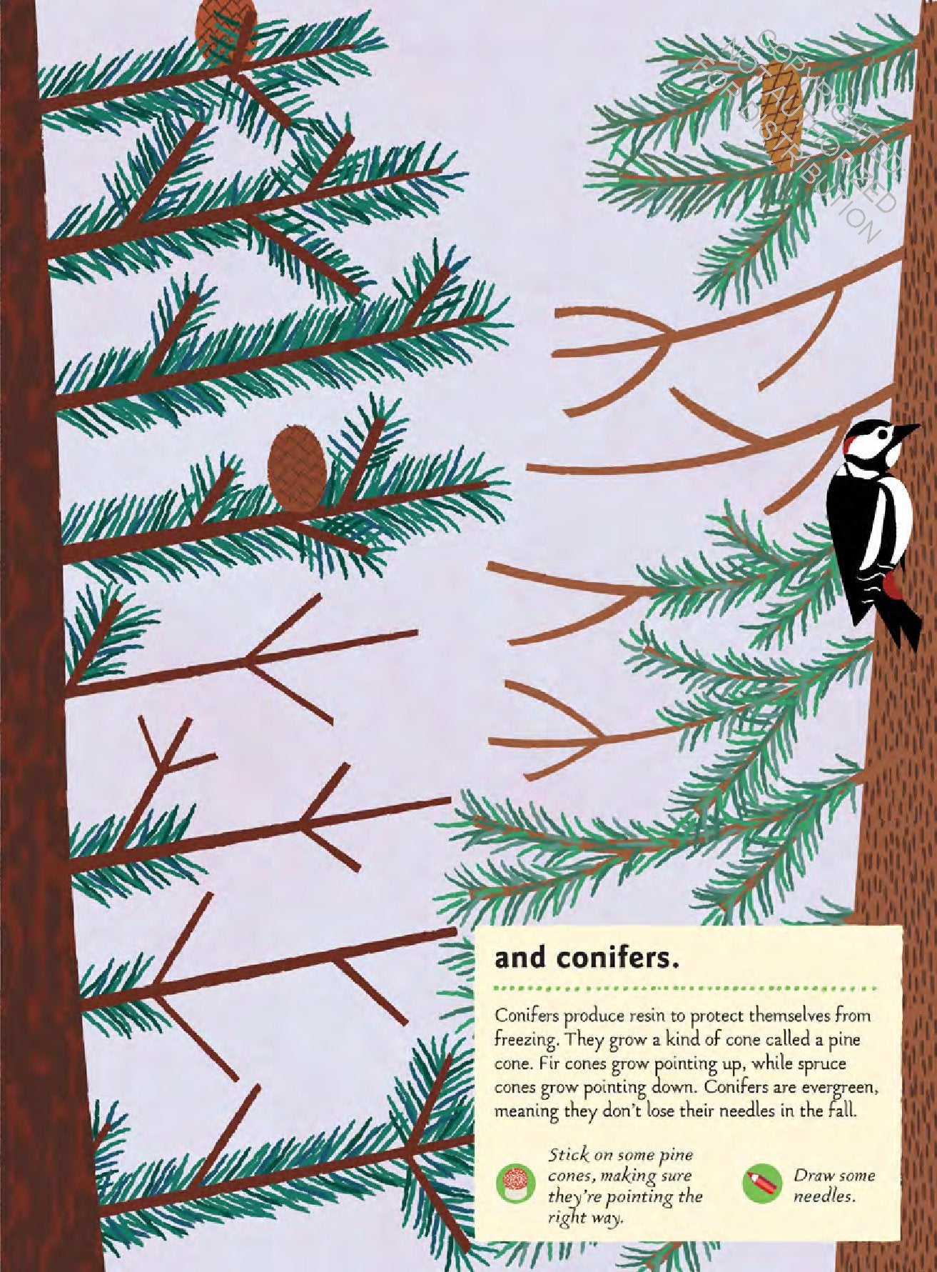 In The Forest: My Nature Sticker Activity Book