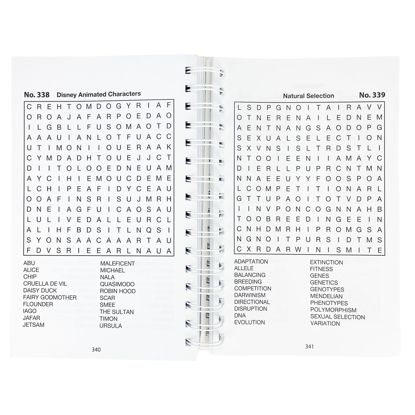 Word Search Puzzles