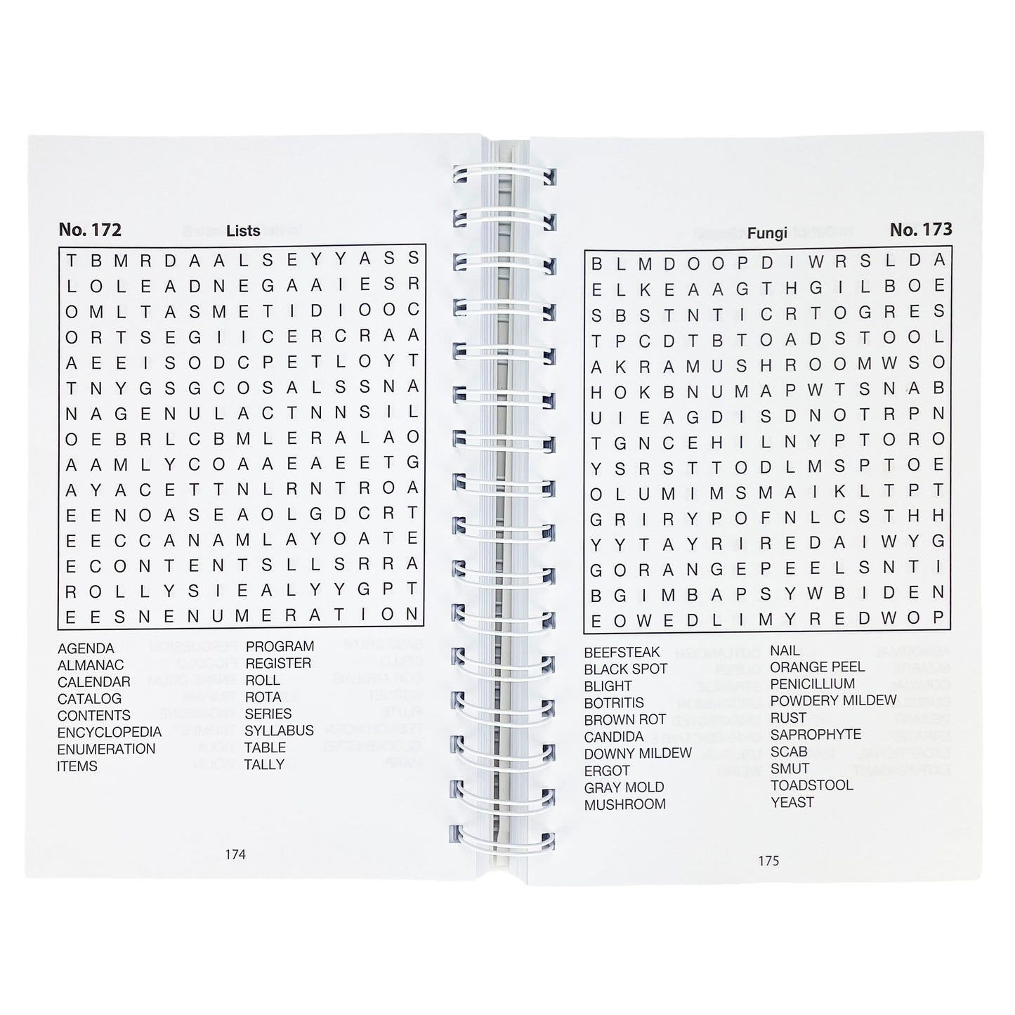 Word Search Puzzles