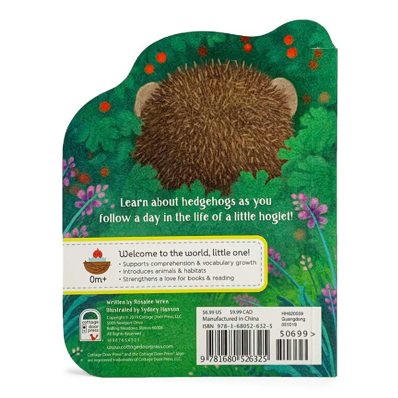 A Little Hedgehog