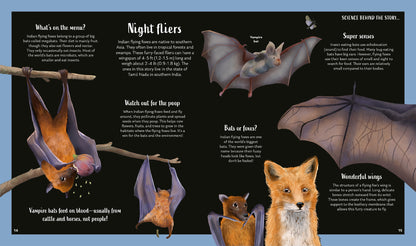 Secrets of the Stars