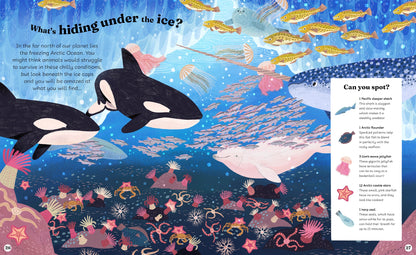 Ocean Explorer A Search-and-Find Book