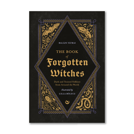 The Book of Forgotten Witches