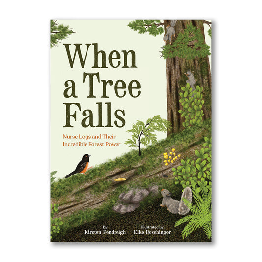 When A Tree Falls