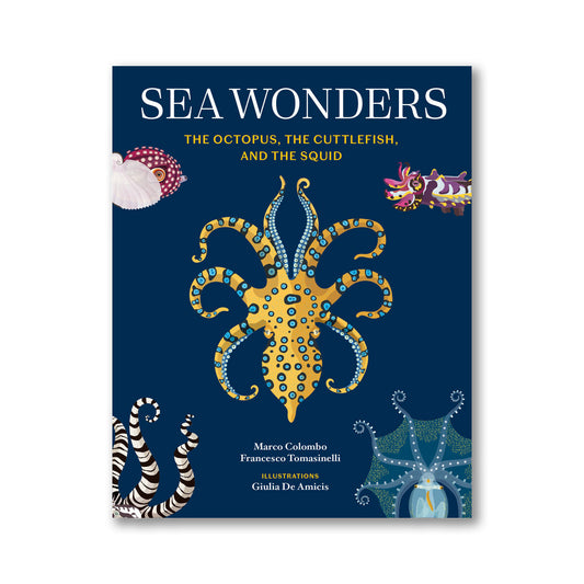 Sea Wonders