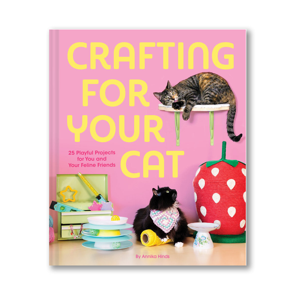 Crafting For Your Cat