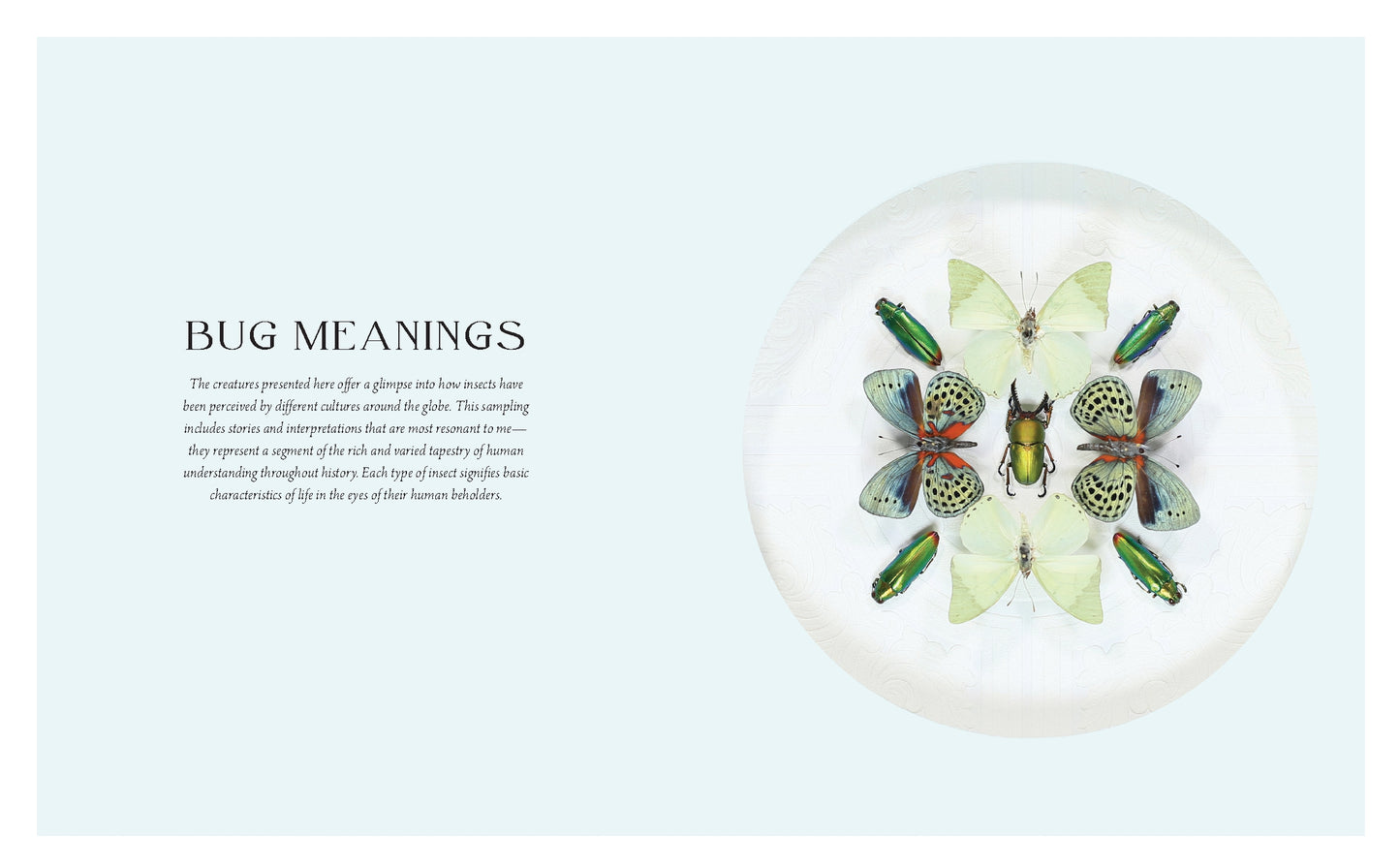 Beautiful Bugs