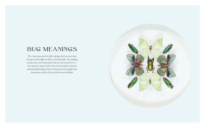 Beautiful Bugs