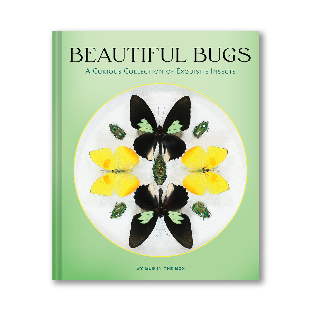 Beautiful Bugs