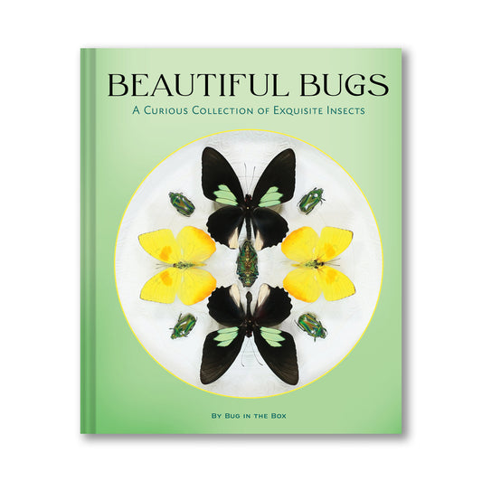 Beautiful Bugs