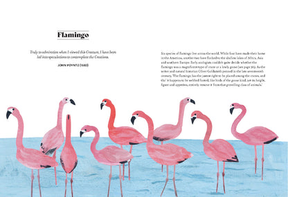 Bird Lore