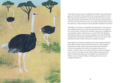 Bird Lore