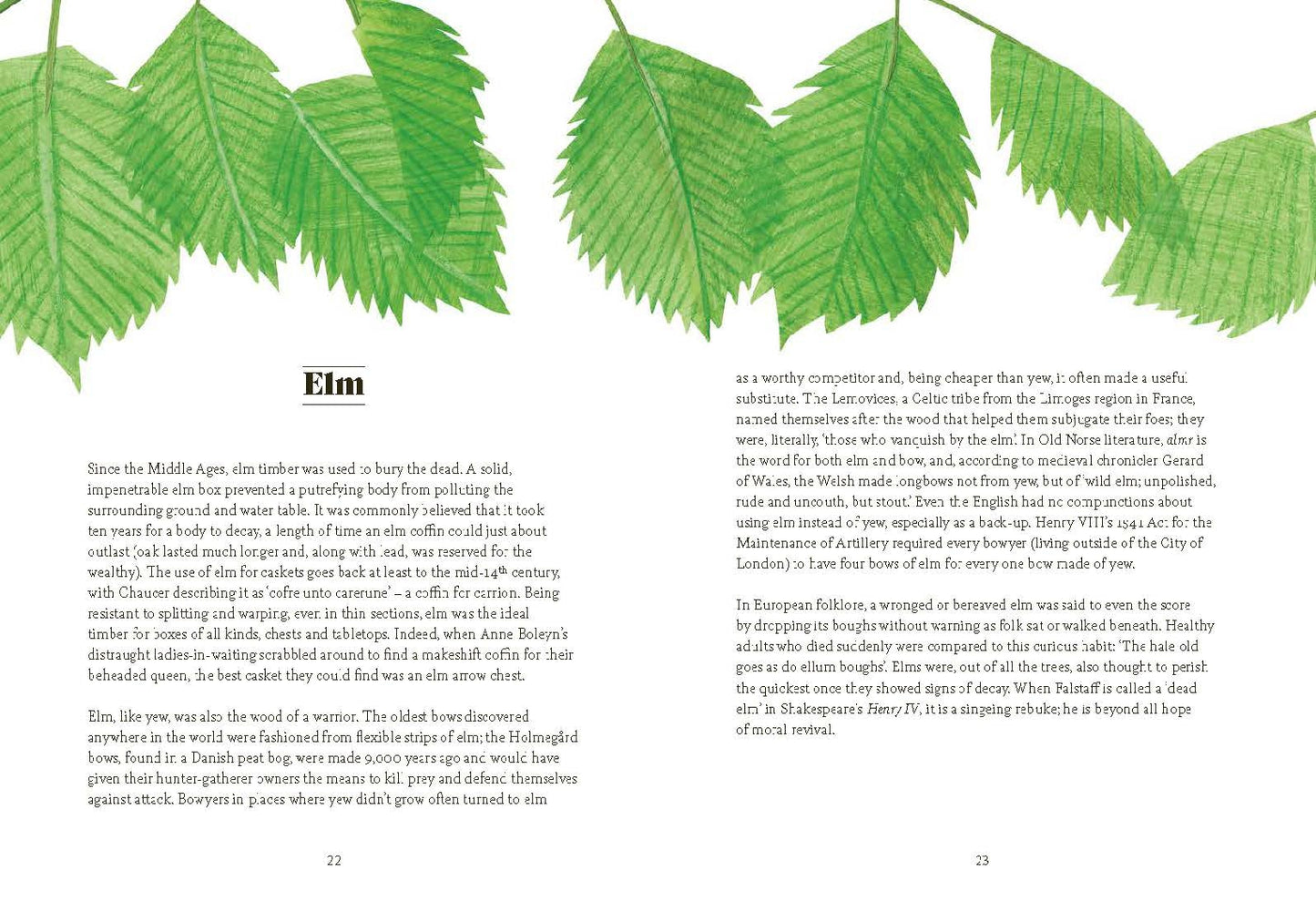 Tree Lore
