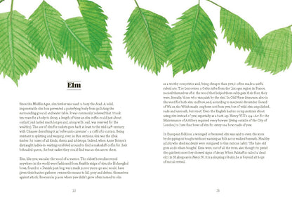 Tree Lore