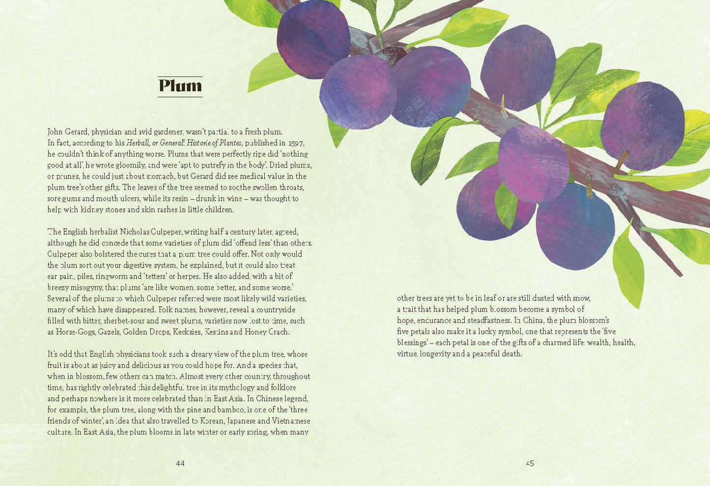 Tree Lore
