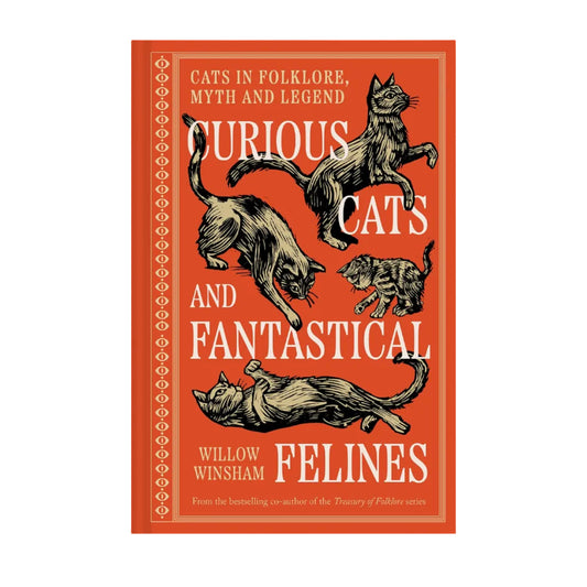 Curious Cats and Fantastical Felines