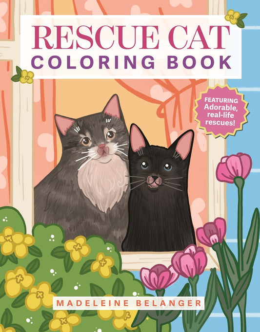 Rescue Cat Colouring Book